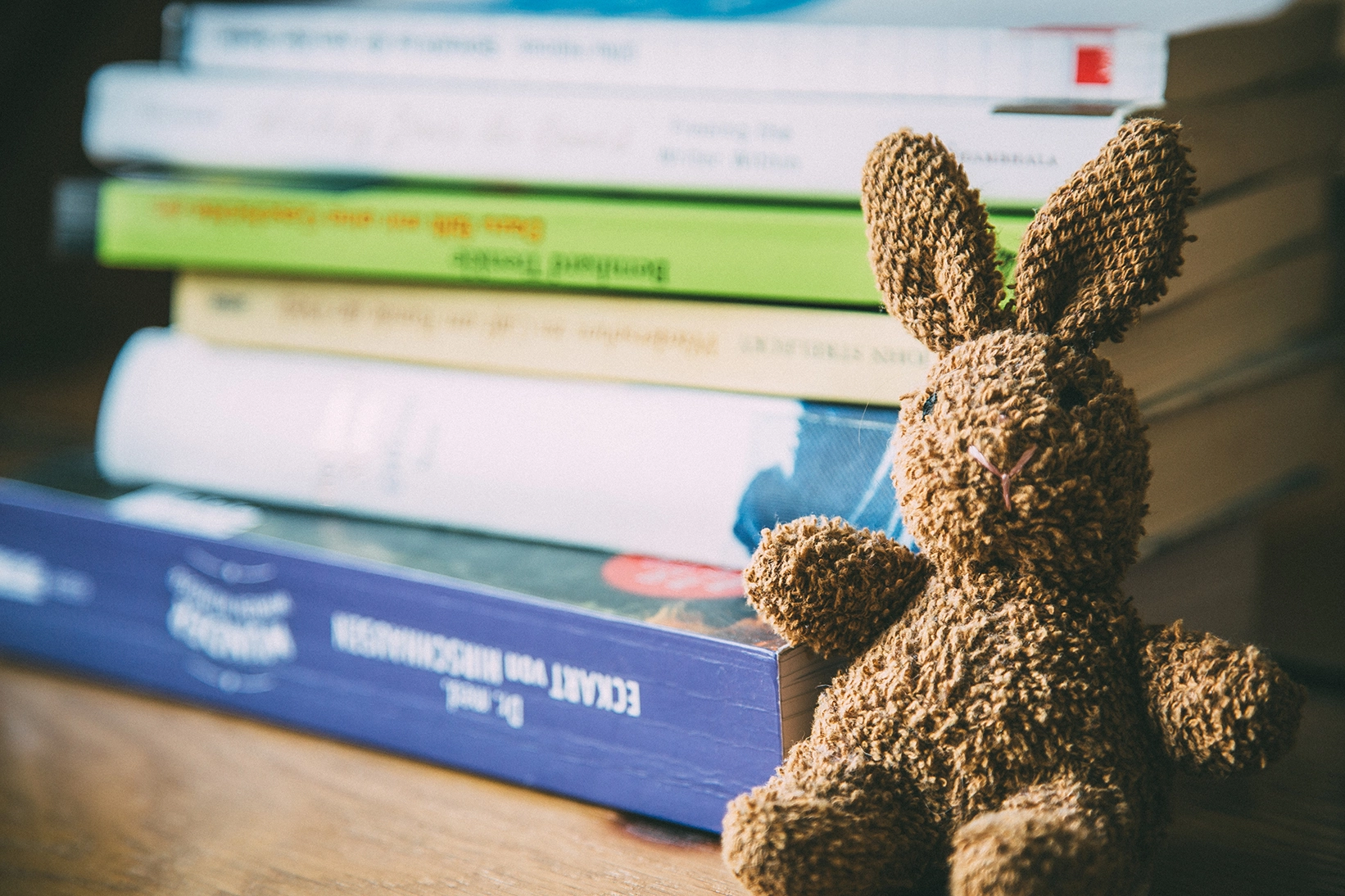 Ein Stoffhase sitzt vor einem Stapel Bücher zum Thema Schreibimpulsen